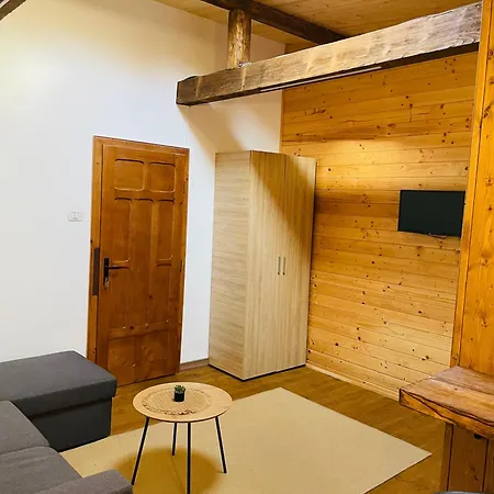 Pensiunea Ioana Borsa  Room photo