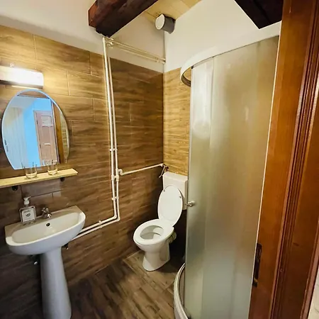 Pensiunea Ioana Borsa  Room photo