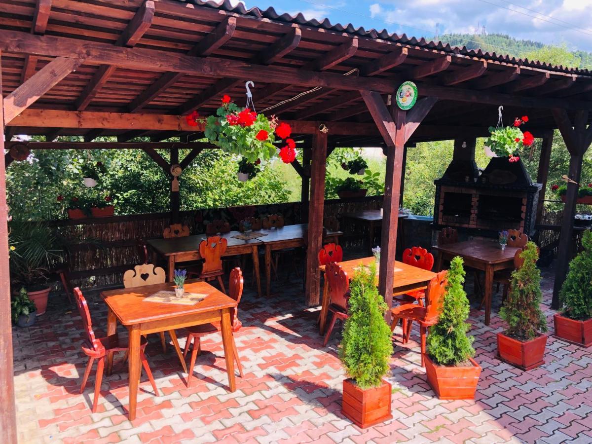 Pensiunea Ioana Borsa (Maramures)