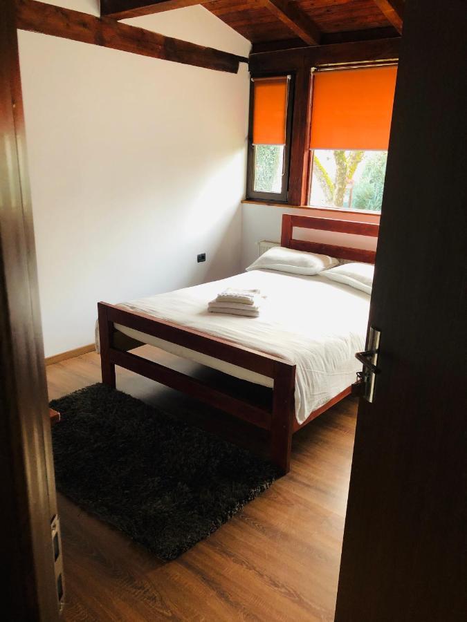 Guest house Pensiunea Ioana