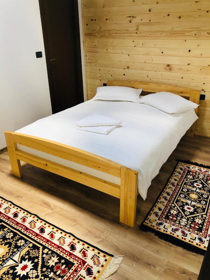 招待所 Pensiunea Ioana Borsa (Maramures)