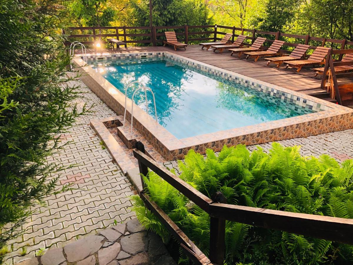Pensiunea Ioana Guest house