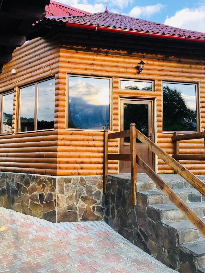 Guest house Pensiunea Ioana Borsa (Maramures)