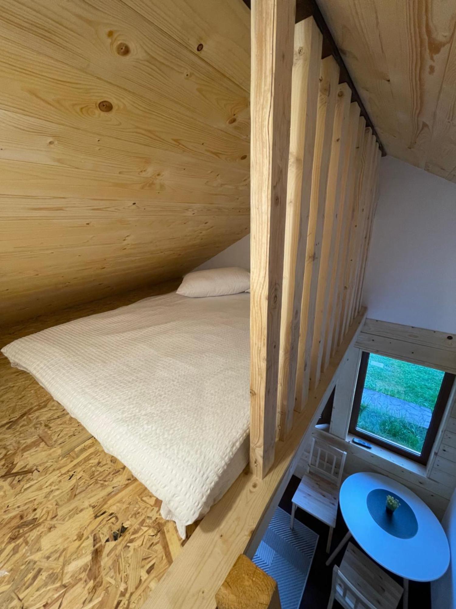 Guest house Pensiunea Ioana