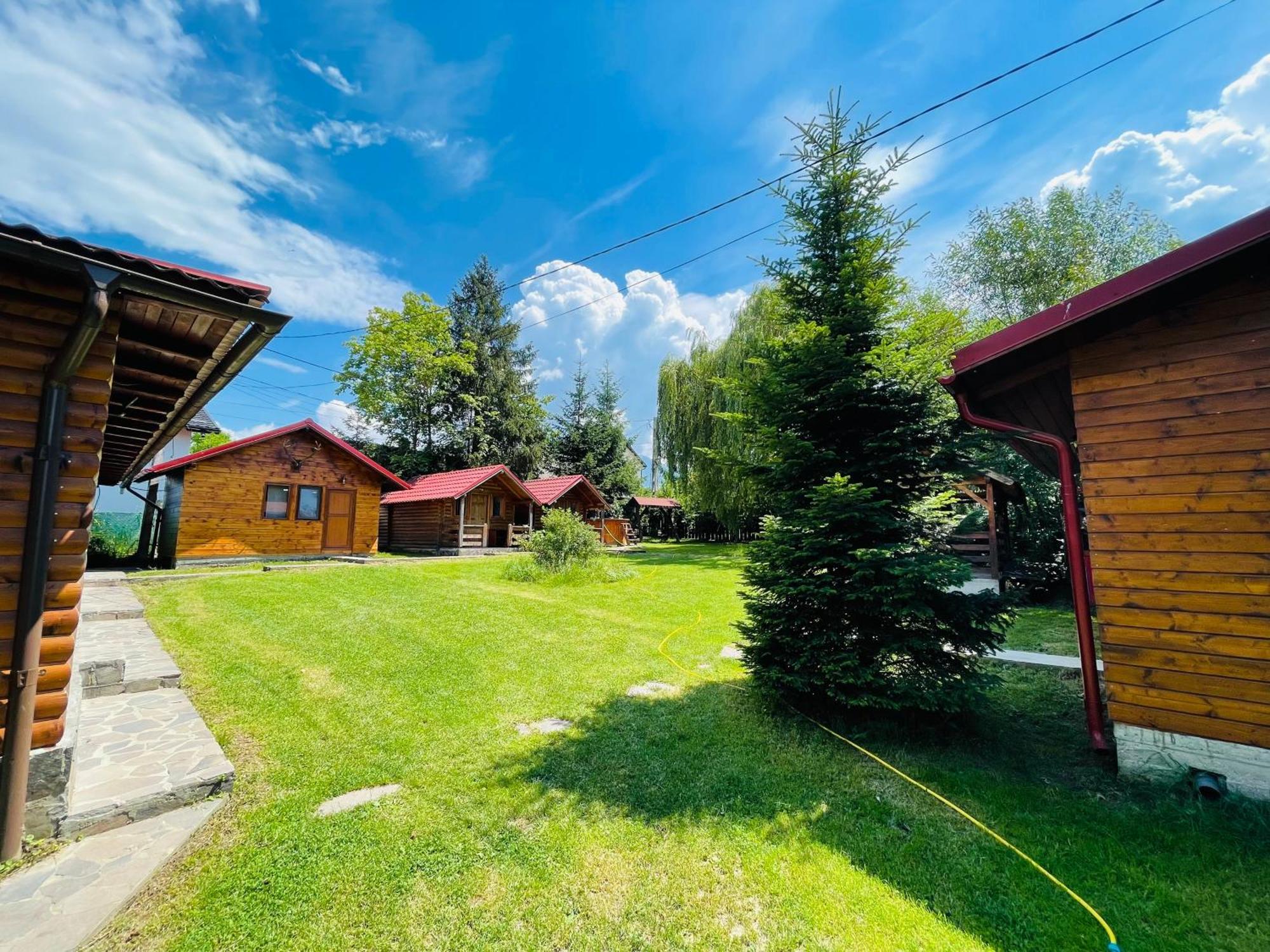 Pensiunea Ioana Borsa (Maramures)