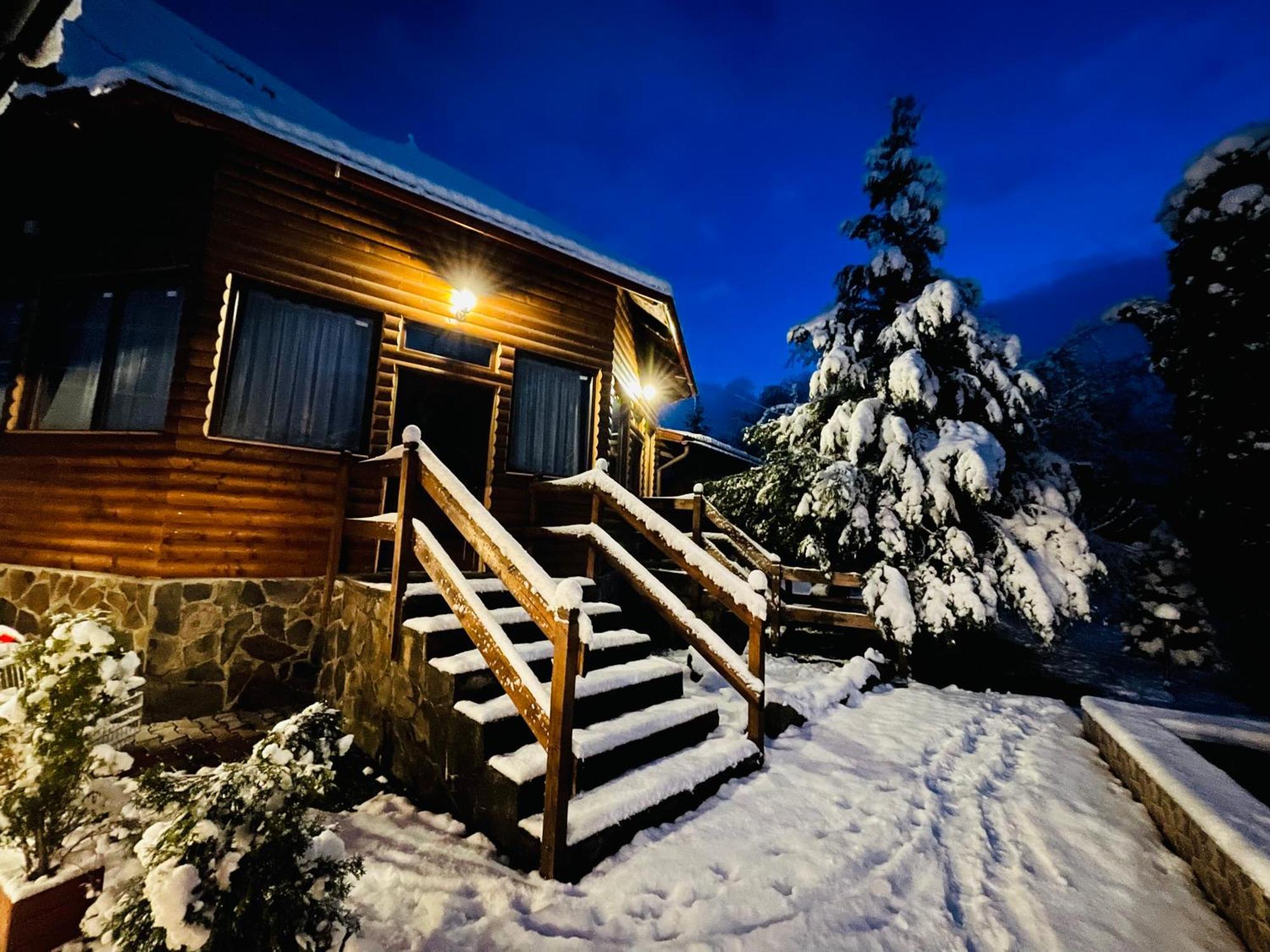 Guest house Pensiunea Ioana *