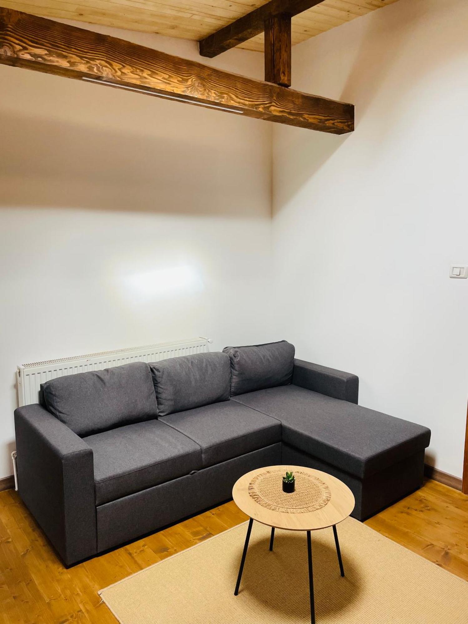 Guest house Pensiunea Ioana *