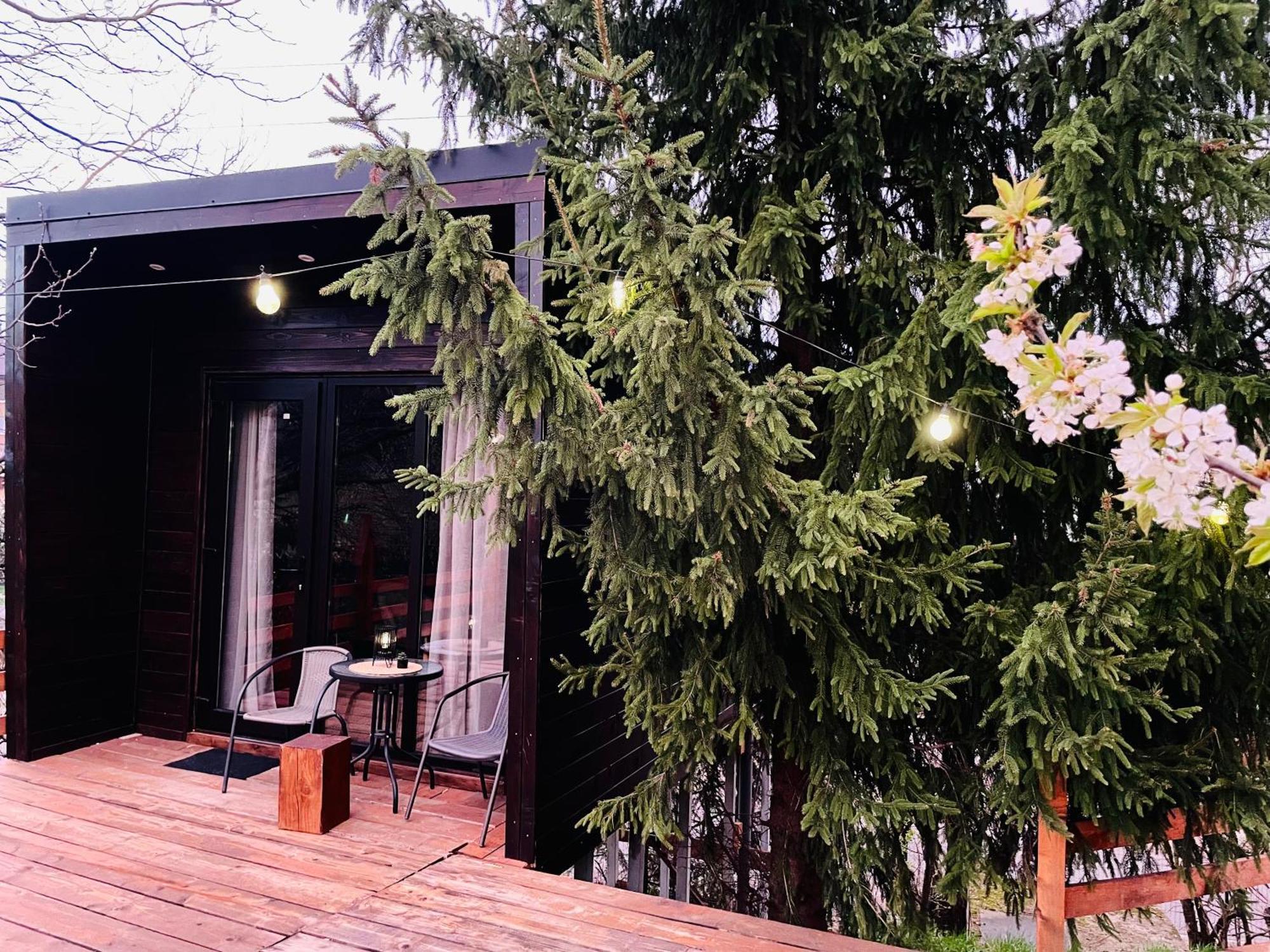 Pensiunea Ioana Guest house